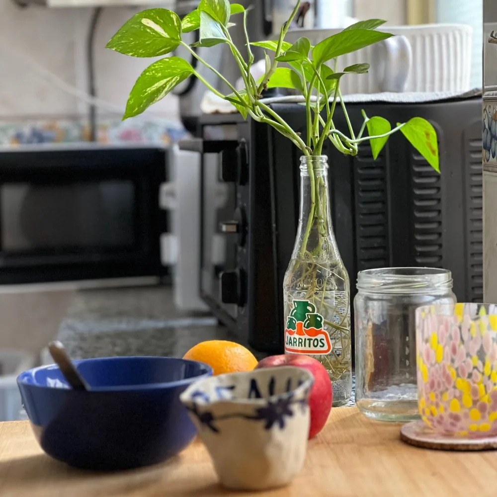 Rincón de mi cocina